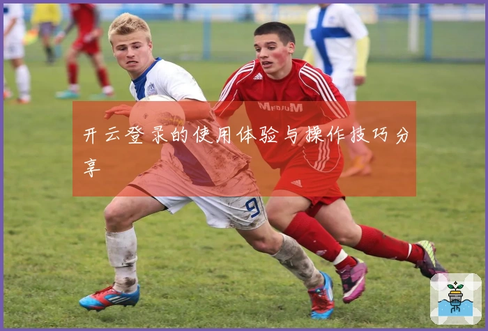 开云登录的使用体验与操作技巧分享